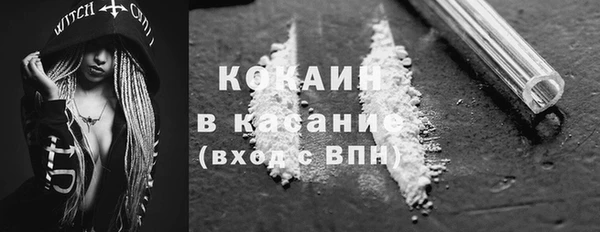 крисы Алексин