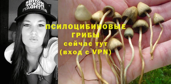 крисы Алексин