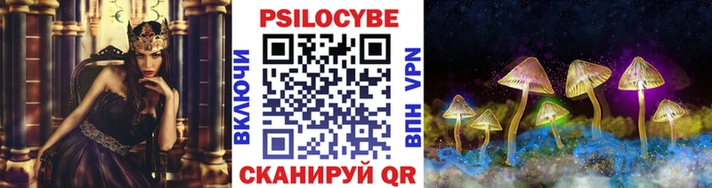 закладки  Сортавала  Псилоцибиновые грибы Magic Shrooms 